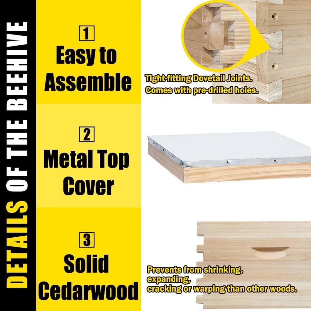 10-Frame Complete Bee Hives and Supplies Starter Kit, Beehives for Beginners with Beehive Frames and Waxed Foundations