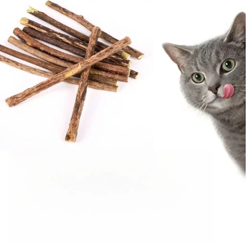 Natural Silvervine Sticks Chew Toys for Cats