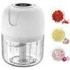 250ml Electric Garlic Masher Machine Mini USB charging Food Processor for Nuts Vegetable Black Pepper Chili Kitchen Tools 1
