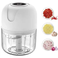 250ml Electric Garlic Masher Machine Mini USB charging Food Processor for Nuts Vegetable Black Pepper Chili Kitchen Tools 1