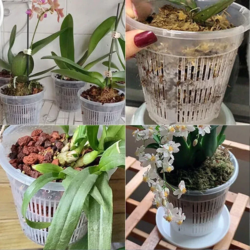 5pcs Orchid Flower Pot With Saucers Plastic Clear Repotting Pot With Holes Mesh Root Control Breathable