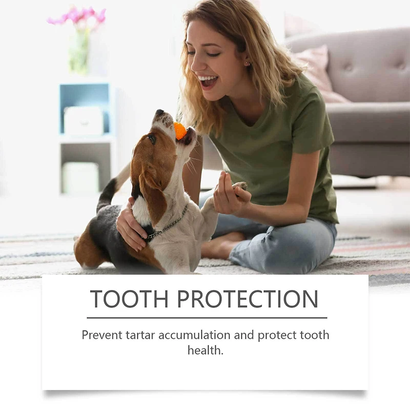 Pet Teeth Cleaning Pet Oral Cleaning Liquid Dental Stain Remover 100ml Teeth Freshener Natural Dental Mouth Wash