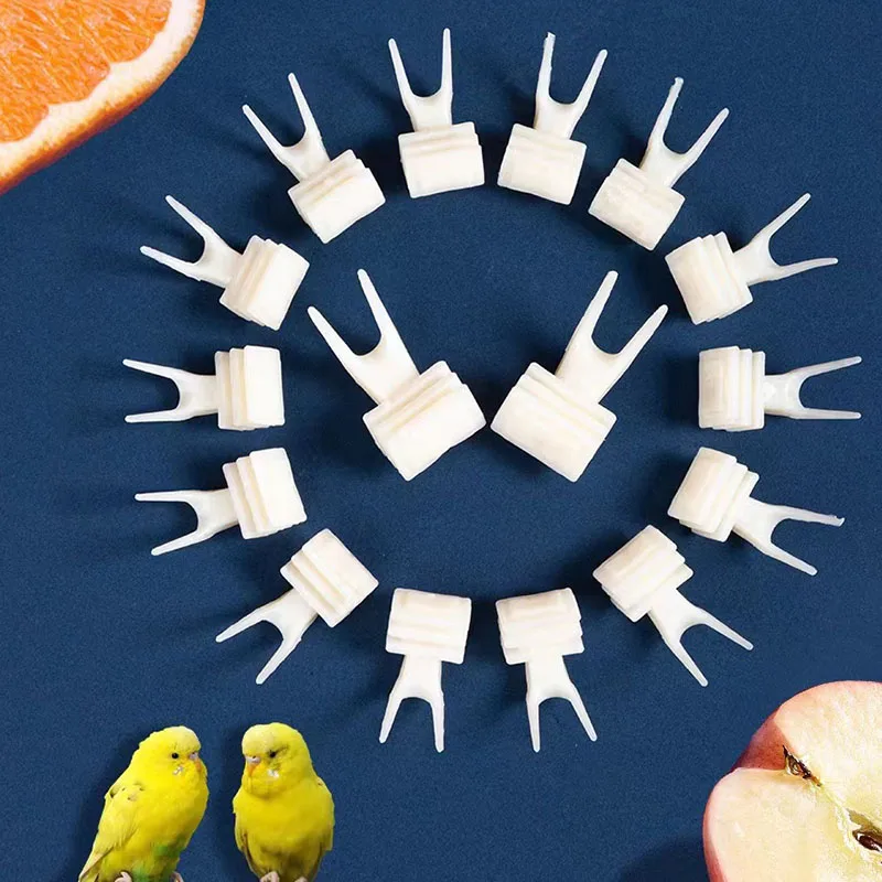 Bird Feeder Parrot Feeder 5pcs Plastic Pet Chicken Vegetables Holder Hang Cage