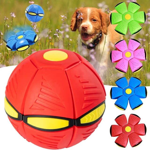 JOUET OVNI VOLANT pour Chien, Balle en Caoutchouc Souple Durable, Interactif  EUR 24,99 - PicClick FR