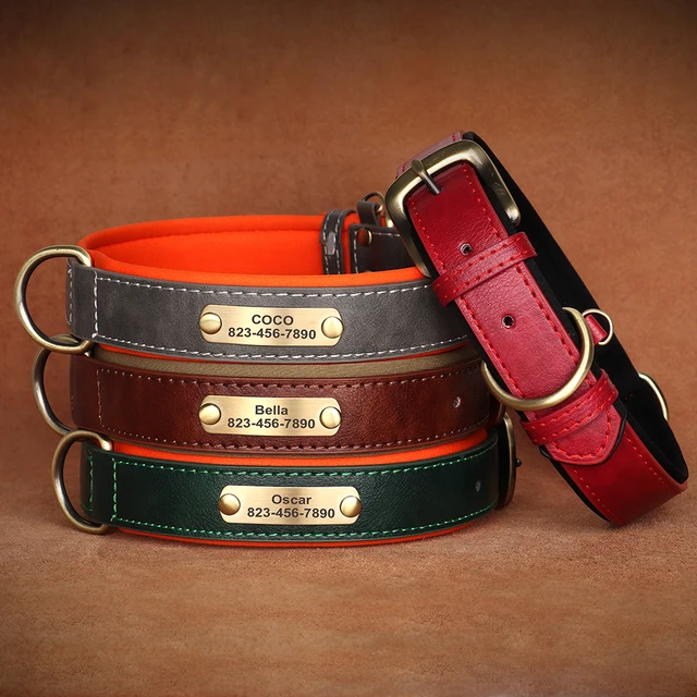 TagME Personalised Dog Collar Reflective Padded Collar For Medium Dogs