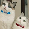 Heart Shaped Cat Collar With Bell Safety Elastic Adjustable Collar Soft Velvet Cat Crystal Collar For Kitten Puppy Pet Supplies 6