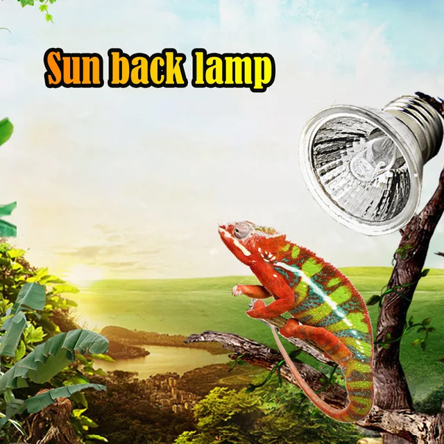 UV Light Bulbs Heating Temperature Controller Reptile Lamp Bulb Turtle Basking UV Light Bulbs Heating Light 1