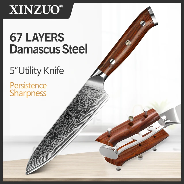 XINZUO 5 PCS Kitchen Knives Set VG10 Damascus Stainless Steel