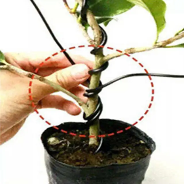 1 Tekercs Gyakorlati Bonsai Edzéshuzal Újrafelhasználható Többcélú Hosszú Eloxált Alumínium Edzőhuzal - Image 5