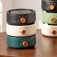 Electric Tea Stove, Multifunctional Mini Anti-Dry Burning,  ABS Construction, Fast Heating Hot Plate for Office Home Use CN 220 1