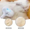 New Pet Spray Cat Comb Dog Hair Removal Comb USB Rechargeable Hair Pulling Knot Comb Pet Grooming Cleaning Tools 3