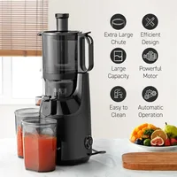 Big Mouth Whole Fruit 5.2”Self-Feeding Chute,Cold Press Masticating Slow Juice Extractor,Easy to Clean,Impact Resistant BPA Free 2