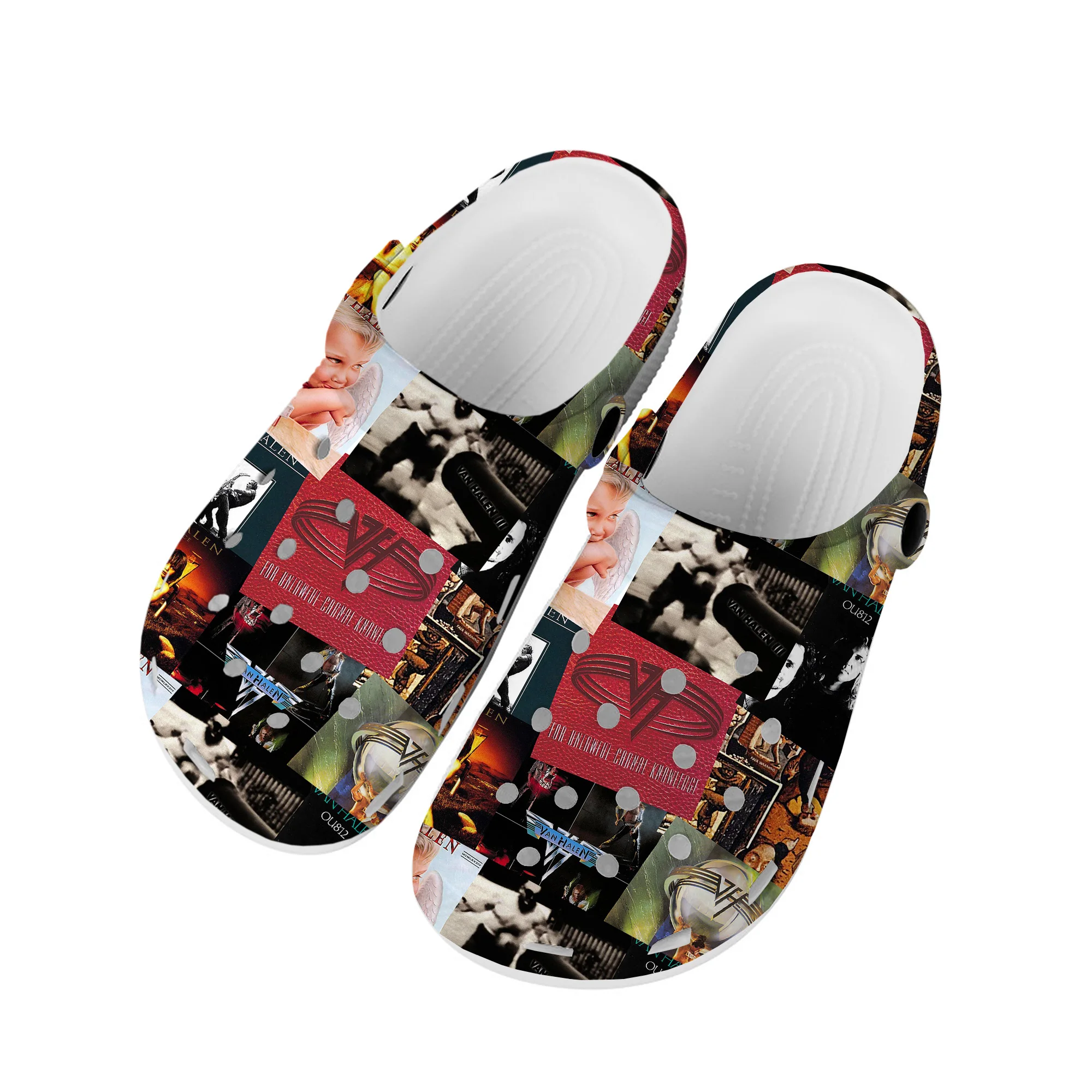 Рисунок 2 - Домашние Сабо Van Evh 5150 в полоску