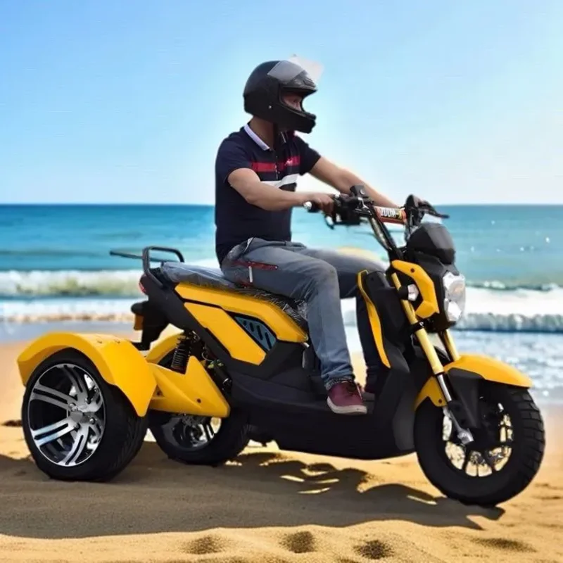 Triciclo Elettrico ad Alta Velocità 70km/h | Triciclo Elettrico a 3 Ruote per Carichi Pesanti e Triciclo Elettrico Economico e Conveniente con Autonomia di 65 km - immagine 6