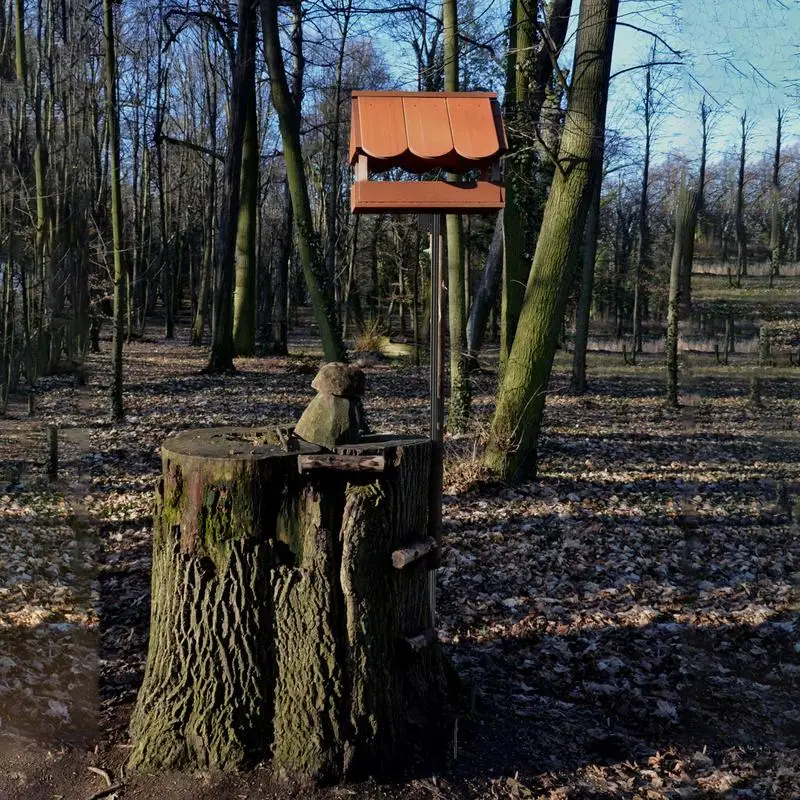 Heavy-Duty Bird Feeder Stand 2