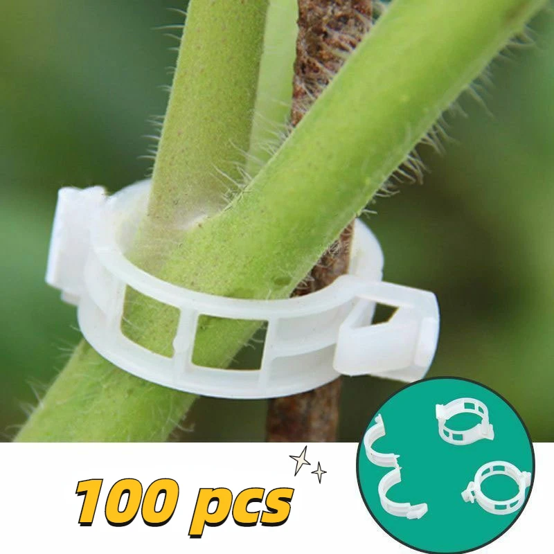 Plant Support Clips Plant Cages Supports Plant Support Clips Garden