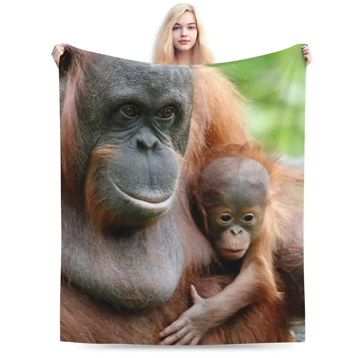 �ö��� ���ο� ���, OrangUtan 003 ���, �ε巯�� ħ��, ������ ���� ���, ħ�� �Ž� ��ũ�� ���� Ȩ ����