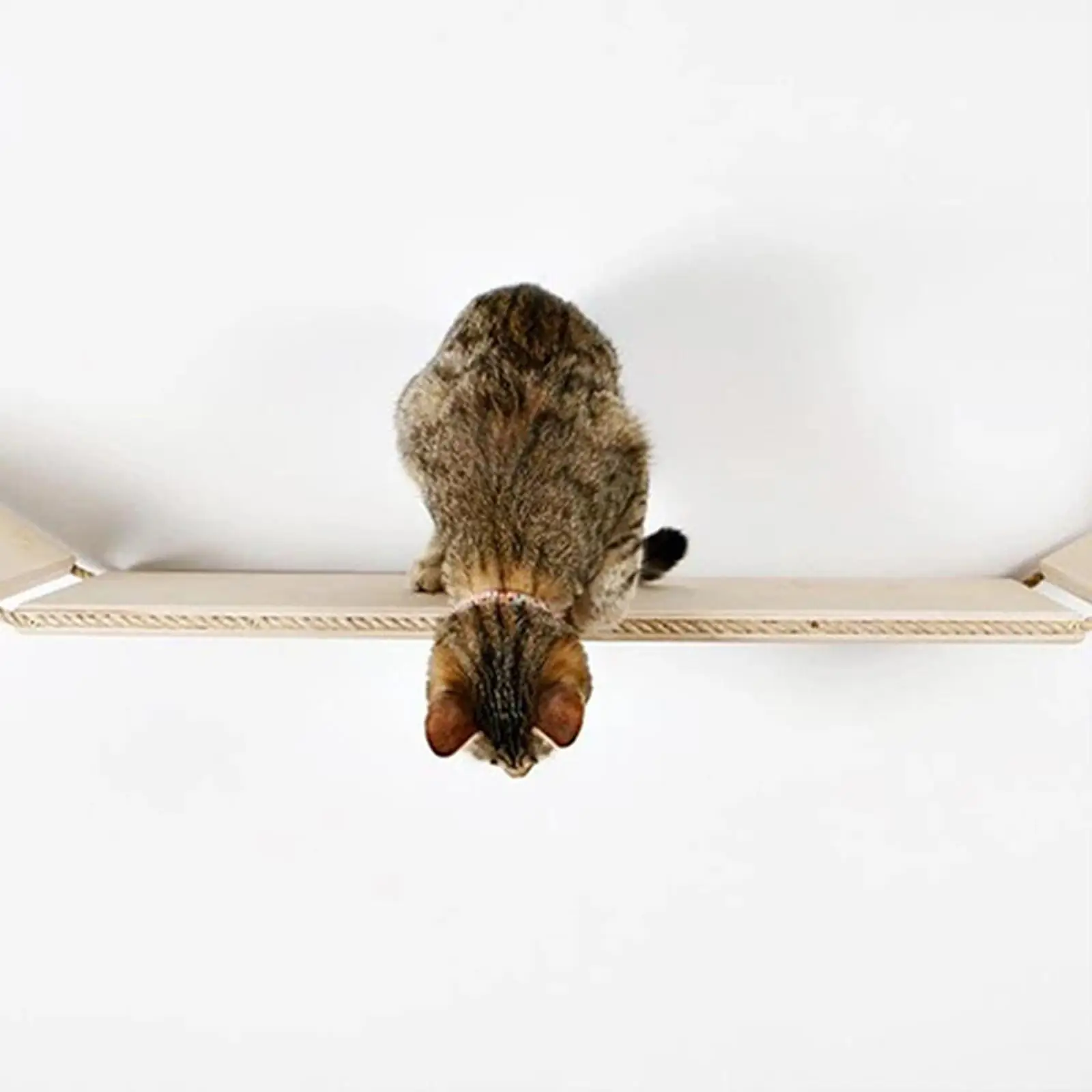 벽걸이 고양이 해먹 다기능 산책로 등반 선반, 나무 벽 사다리 계단, 실내 고양이, 애완 고양이, 대형 고양이 라운징