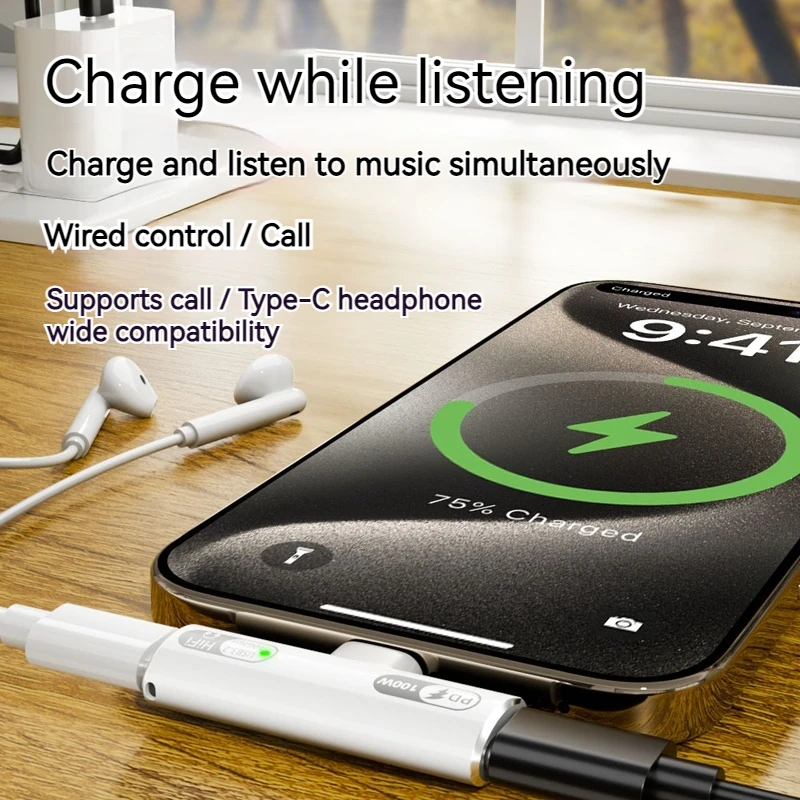 2IN1 USB 타입 C 어댑터 PD100W 고속 충전 10Gbps OTG USB-C 3.5MM 이어폰 컨버터 맥북 폰 태블릿용