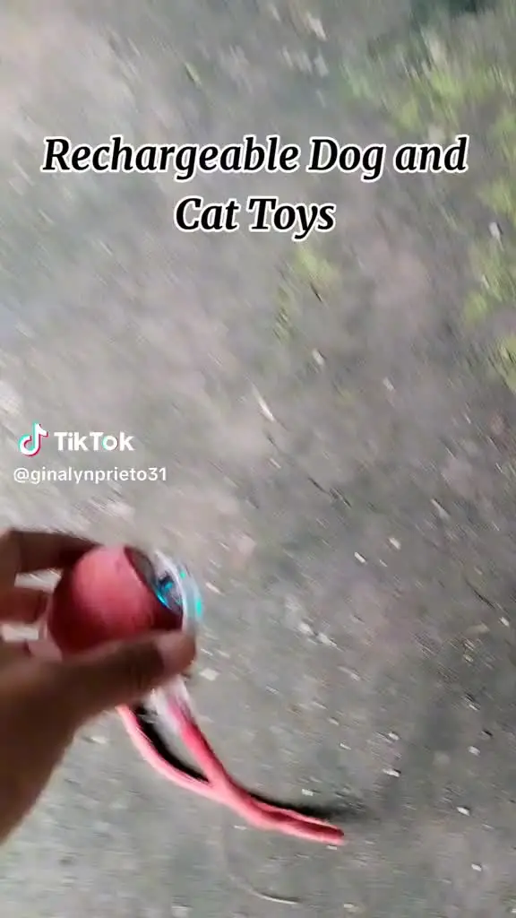 Интерактивный шариковый тизер для кошек