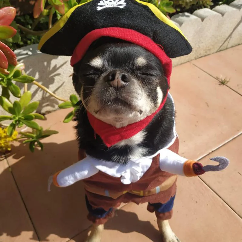 Déguisement Halloween Pirate Élégant pour Petit Chien