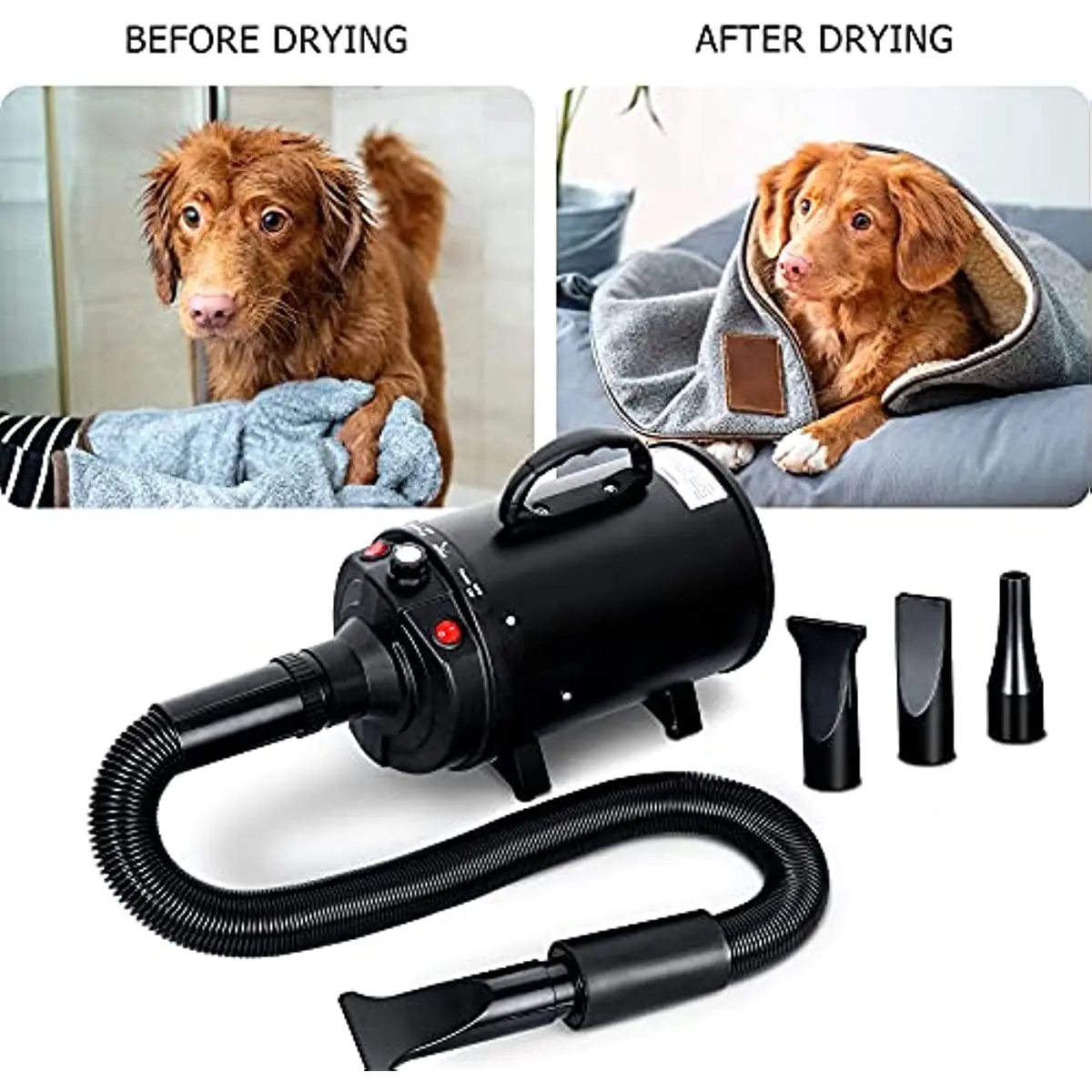 

Dog Dryer High Velocity Pet Dog Hair Dryer Golden Hair Stepless Adjustable Speed Dog Cat Grooming Blow Dryer with Heater