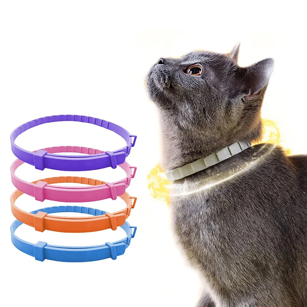 Dog Collar Puppy Cat Plastic Collar For Small Medium Large Dogs Cats Pet Items Dog Accessories Suppliers dog collar