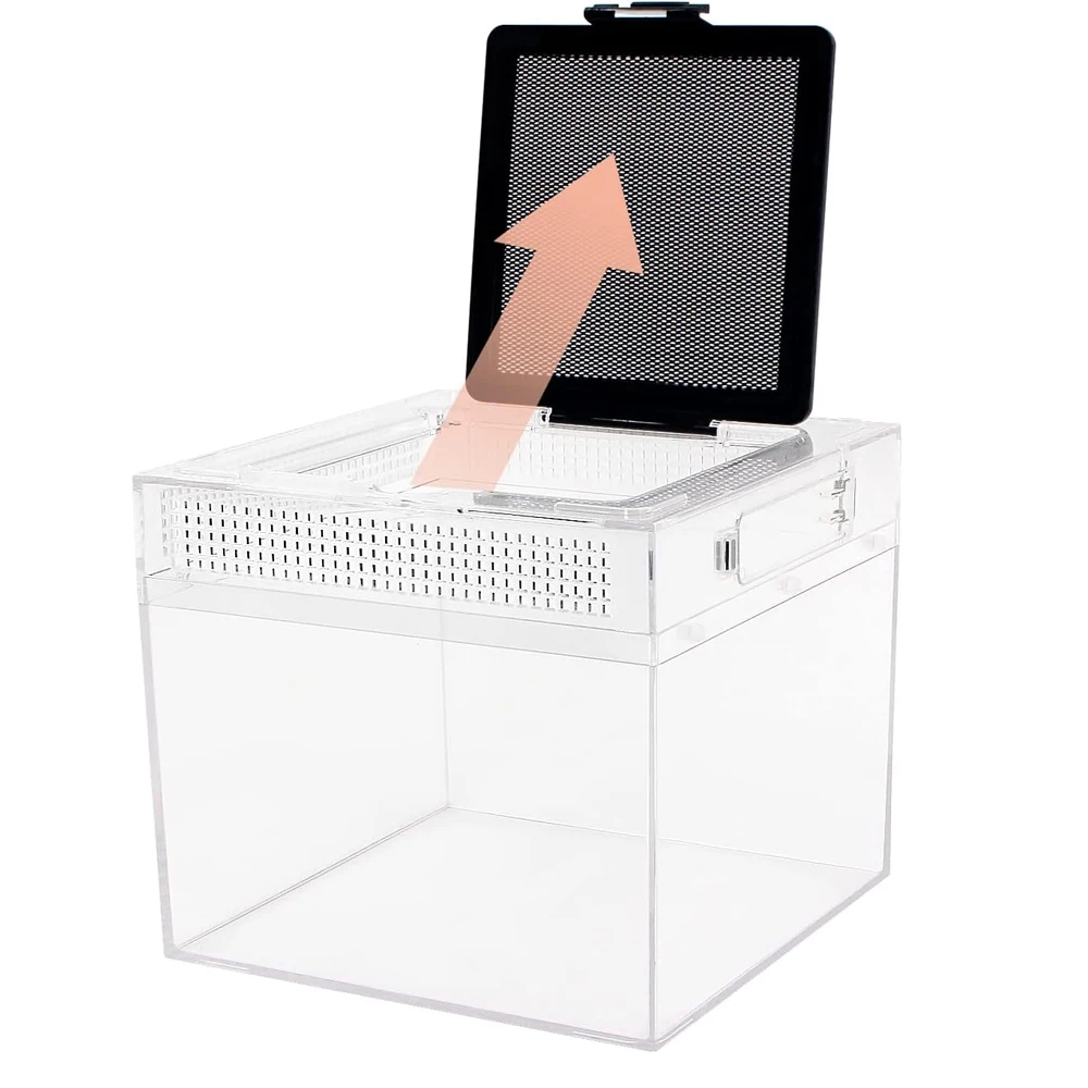 Transparent Reptile Feeding Box 6