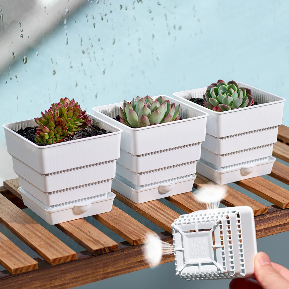 Pots Planters Wholesale Wholesale Pots Plants Wholesale Succulent