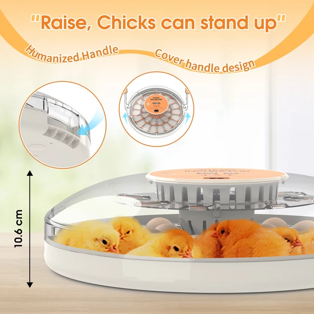 22053-938aef.jpg 30-52 Egg Incubator with Automatic Egg Turning, Temperature Control and Humidity Monitor Incubators for Hatching Eggs, Chicken,