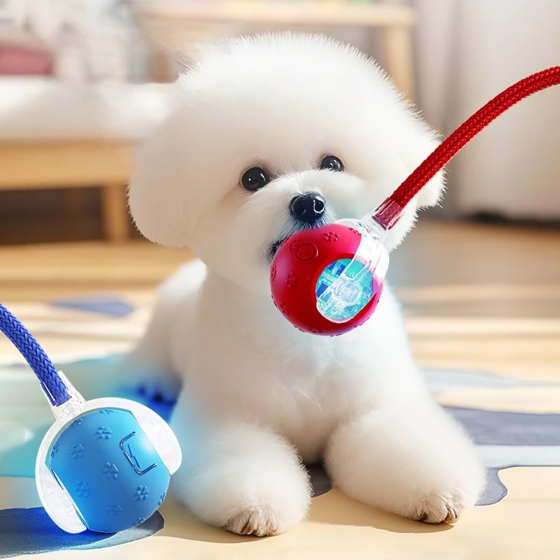 New Interactive Cat Toys Ball Smart Electric Rolling Ball Toys for Cat Kitty Pet Automatic Training USB Rechargeable Cat Toy 3