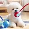 New Interactive Cat Toys Ball Smart Electric Rolling Ball Toys for Cat Kitty Pet Automatic Training USB Rechargeable Cat Toy 3