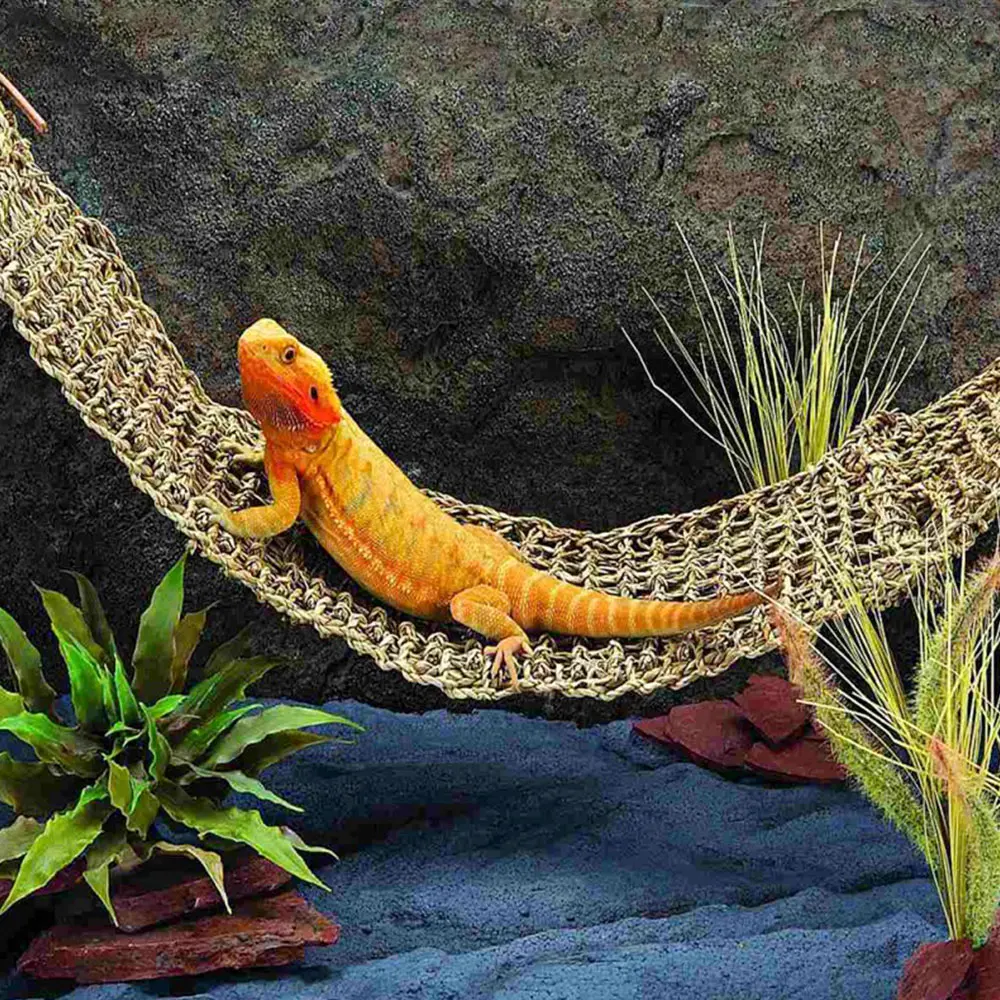 Natural Seagrass Reptile Hammock for Lizards and Geckos