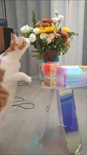 

INS Nordic Acrylic Side Table Display Designer Round Colorful Rainbow Clear Acrylic Iridescent Art Coffee Table Home Furniture