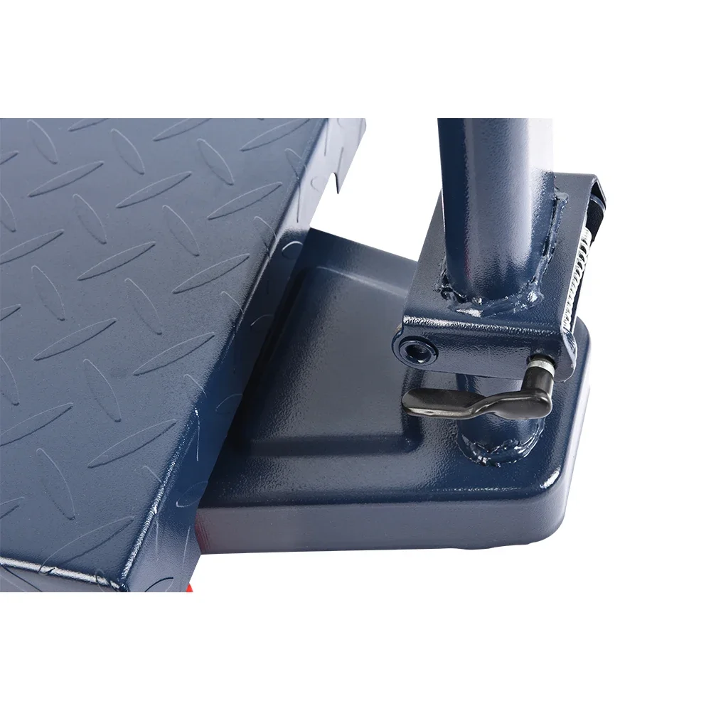 100kg 150kg bird balana digital platform weighing scales scale 100 kg