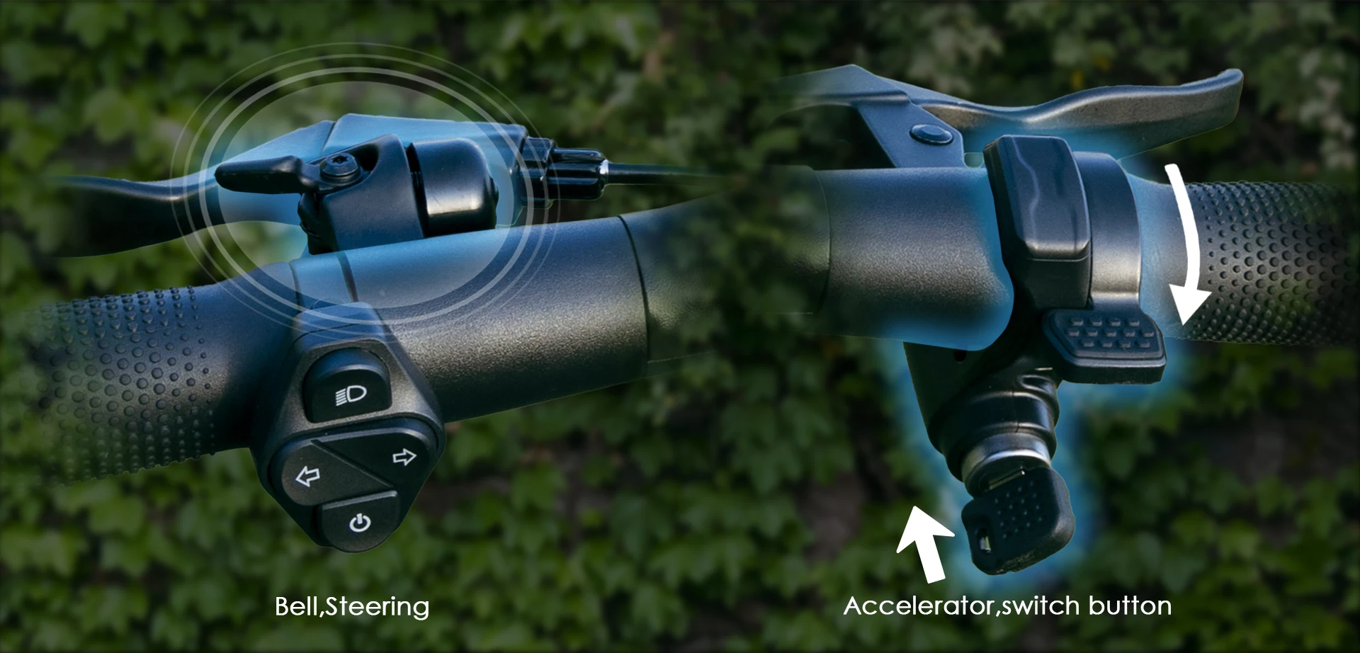 S1570fec6a44446aca2e083ca0779af10F