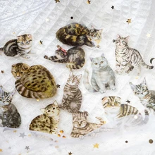  Dimi 30Pcs/Pack Cute Cats Stickers PET Waterproof Lovely Sticky Label DIY Mobile Phone Decor Scrapbooking Collage Album Journal 