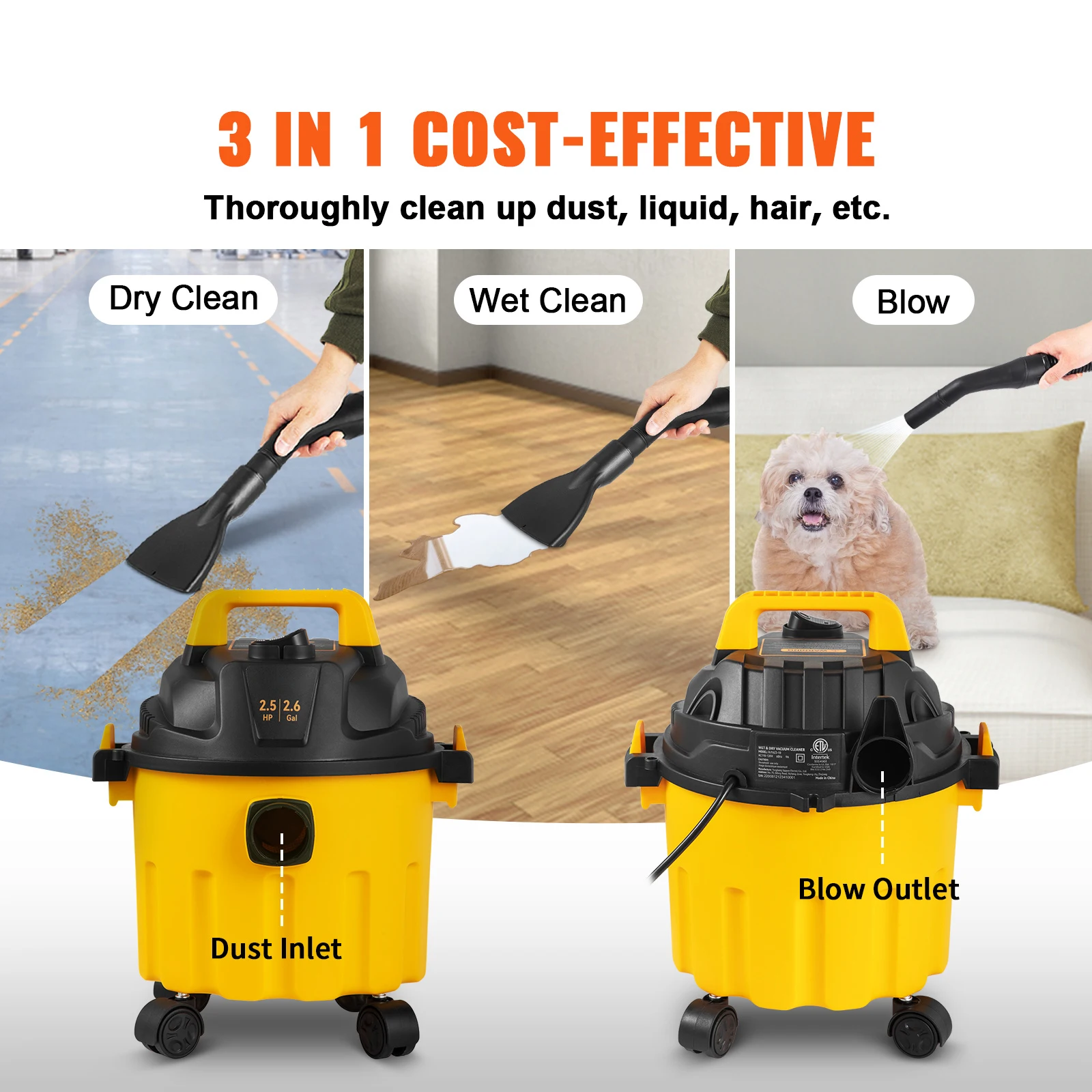 Portable Wet Dry Vacuum Cleaner with Blowing Function