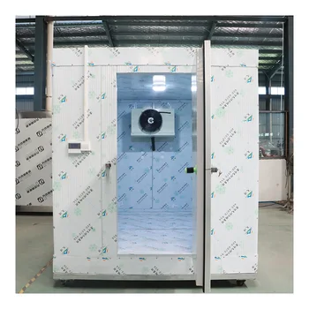 Walk in Chiller Cold Room Solar Powered Cold Store Container Industrial Refrigerator