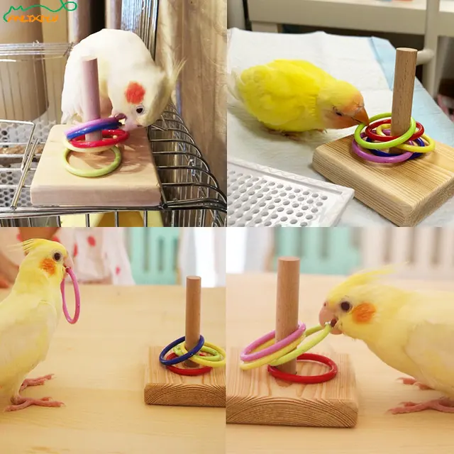 Stacking Ring Toys Intelligence Blocks for Parakeets and Love birds