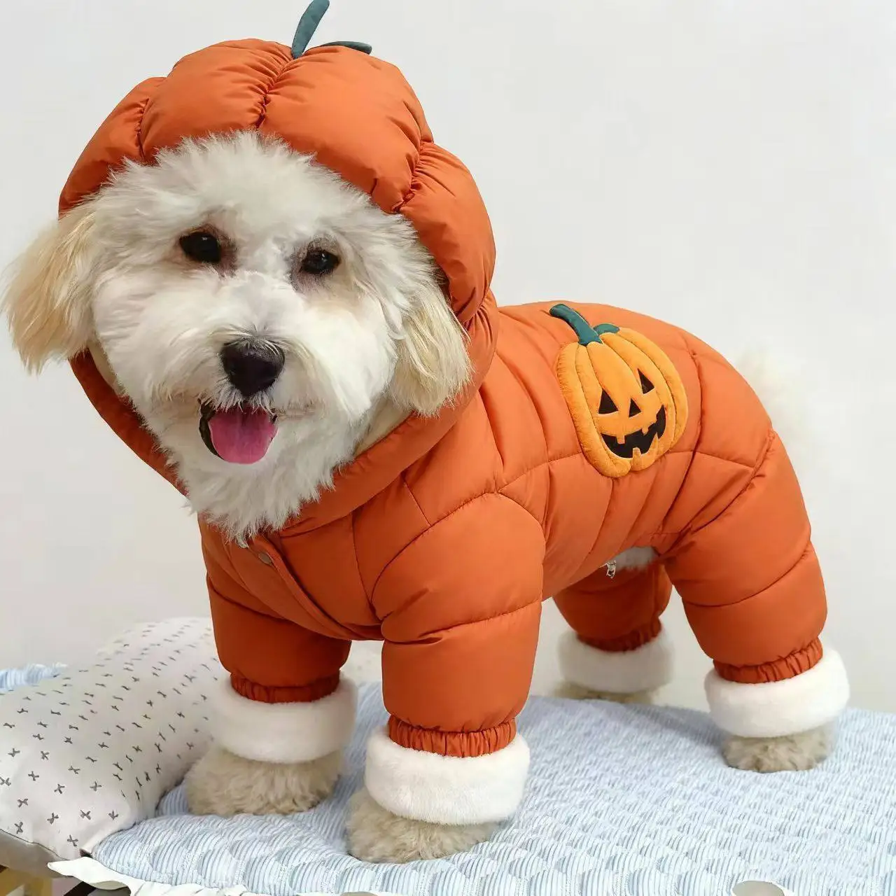 강아지 옷, 가을 겨울 따뜻한 네발옷, 곰돌이 테디보다 더 멋진 외국풍, 외출 시 보온성과 방풍 기능 유지