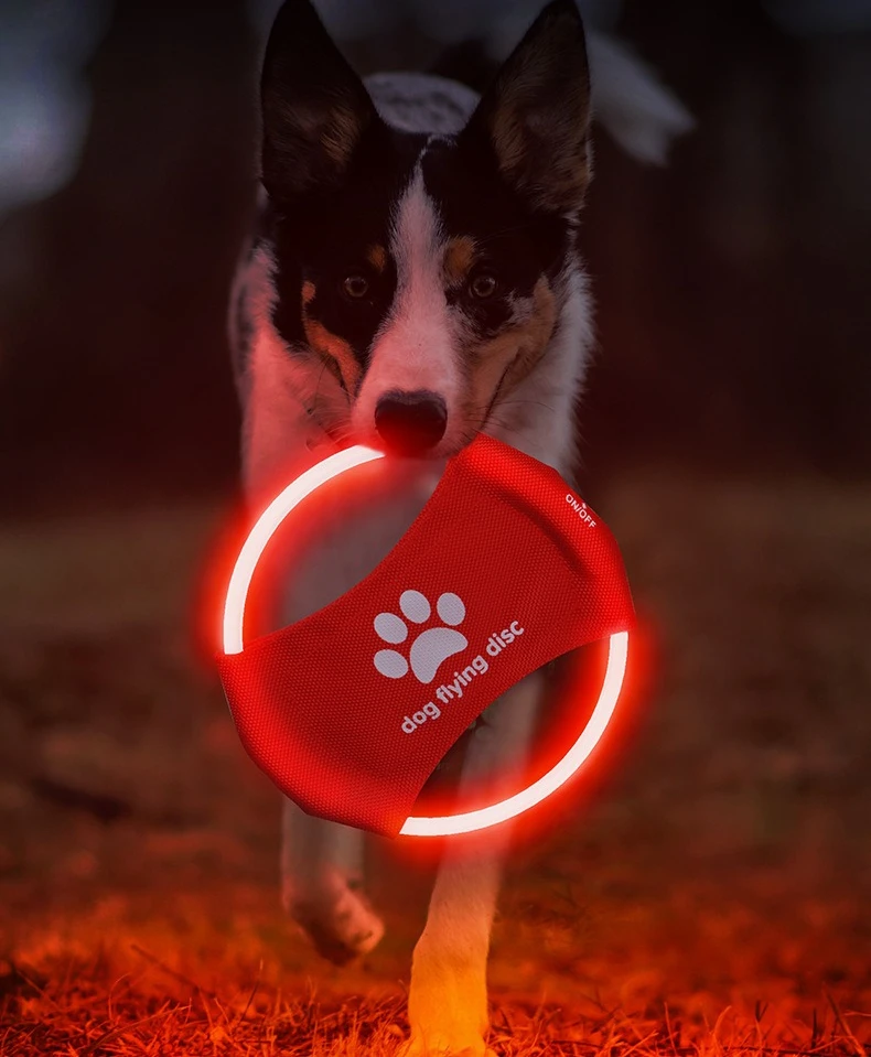 hmqViviiyNSAyin9WueWt1js71ekVtor9/fz