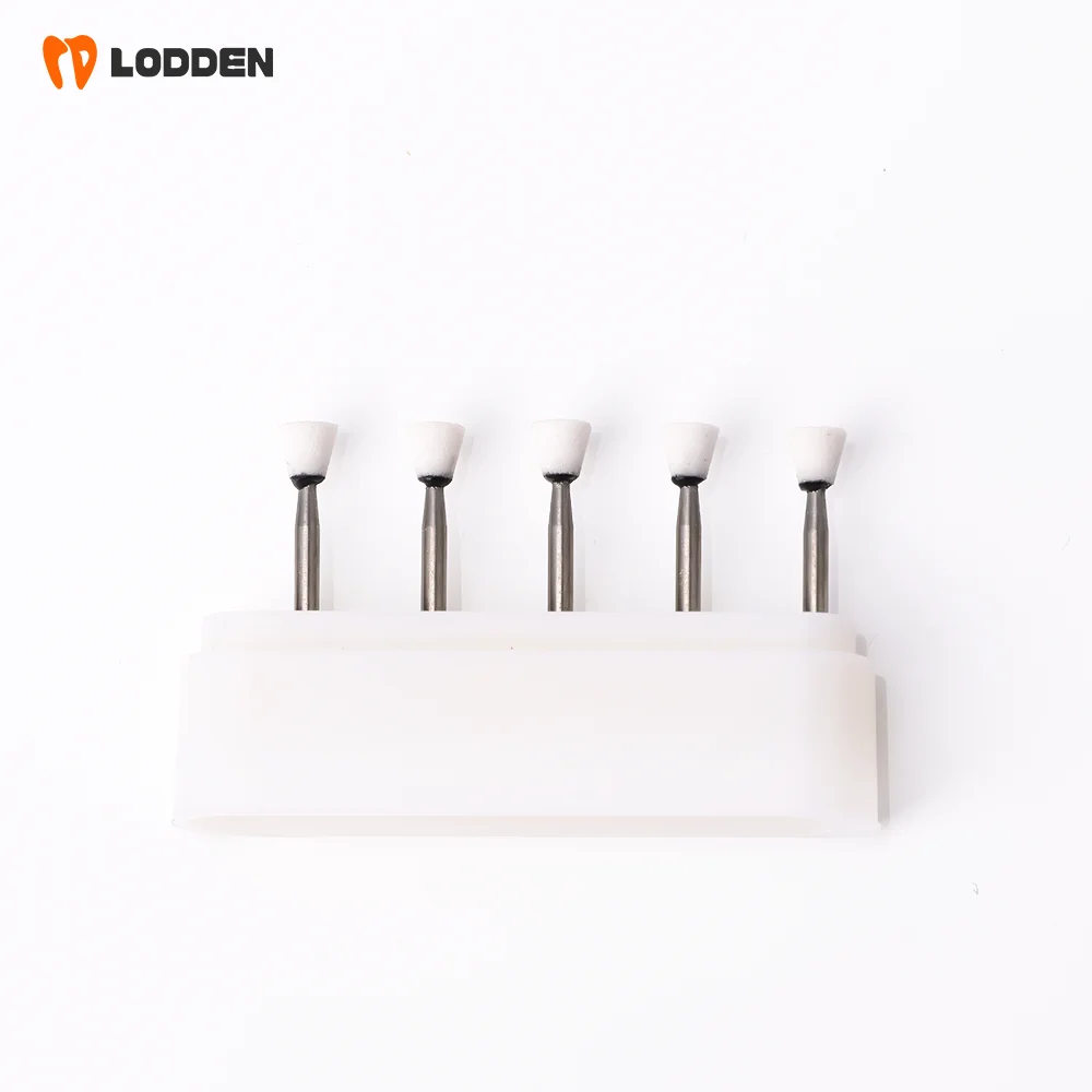 LODDEN 5 Stück Dental-Polierbohrer aus weißem Stein, Kegel-/Flammen-/runde Form, Abriebbohrer, FG zum Polieren, Füllen von Verbundwerkzeugen – Detail 32