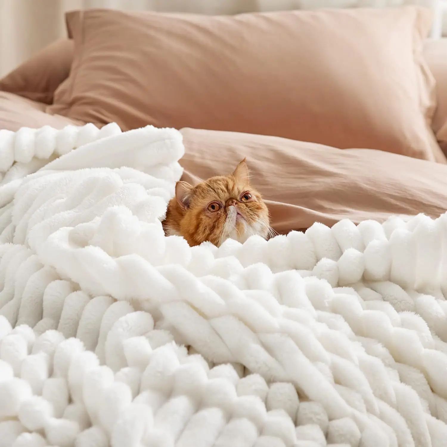 White Fleece Throw Blanket for Couch - Super Soft Cozy Blankets for Women, Cute Small Blanket for Girls, 59x79 Inches 3