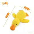 Small duck
