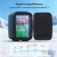 Мини-холодильник на 4 литра/6 банок, портативный охладитель и подогреватель, холодильник для спальни, офиса и автомобиля, отлично подходит для еды, напитков, косметики