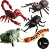 Infrared RC Scorpion Model Toy Animal Present Gift for Kids,High Simulation Animal Scorpion Infrared Remote Control Kids Toys 2