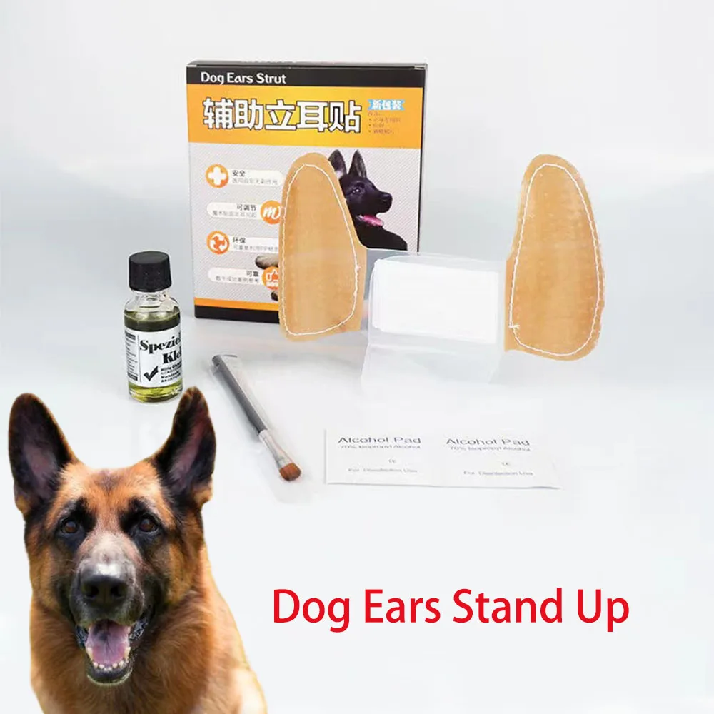 Why Do Some Dogs Ears Stand Up And Some Don T