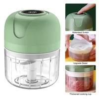 100ML 23W Garlic Mincer Masher Meat Grinders 304 Stainless Steel Blades USB Charging Rechargable for Vegetables Onions Spices 1