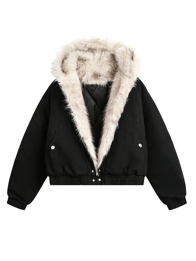 C77A8268.JPG C77A8268.JPG